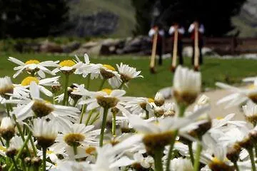 Astoria Ζερμάτ